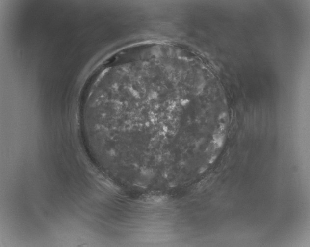 X0000074300247200609222342