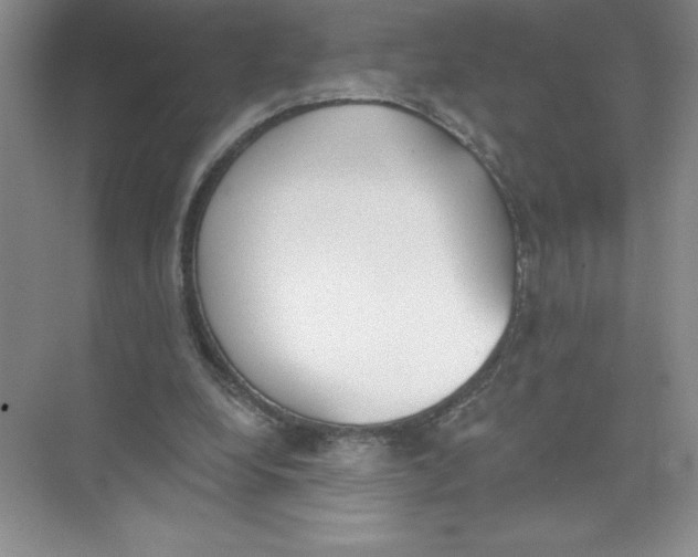 X0000074300248200609222342