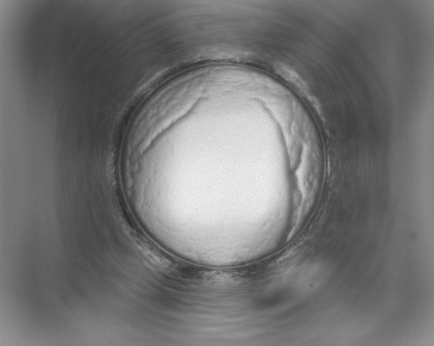 X0000074300249200609222342