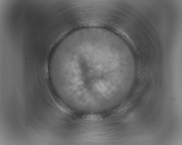 X0000074300251200609222342