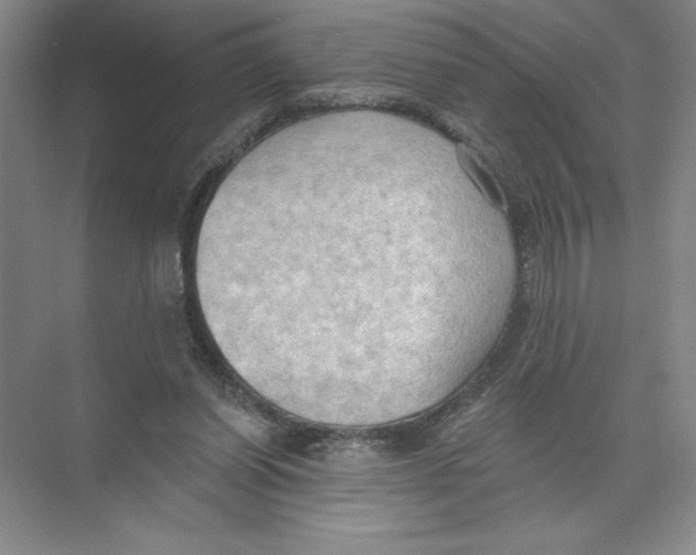 X0000074300254200609222342