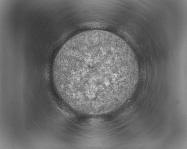 X0000074300255200609222342