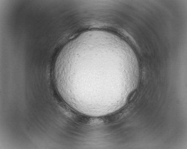 X0000074300257200609222342