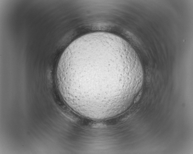 X0000074300258200609222342