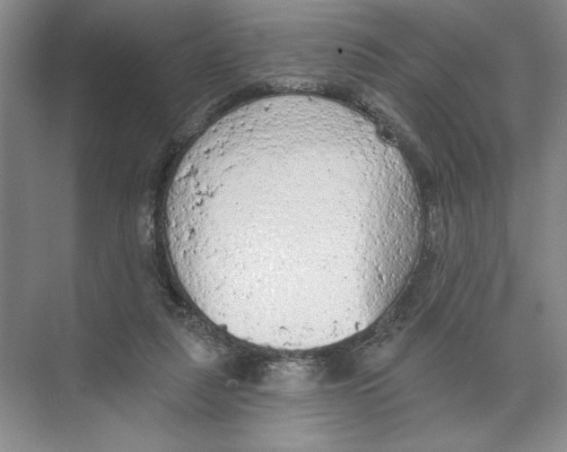 X0000074300259200609222342