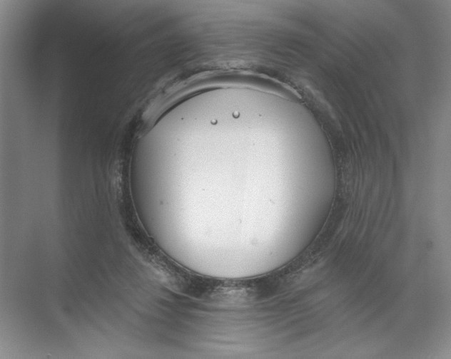 X0000074300260200609222342