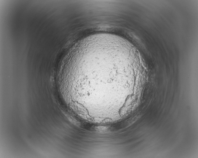 X0000074300265200609222342