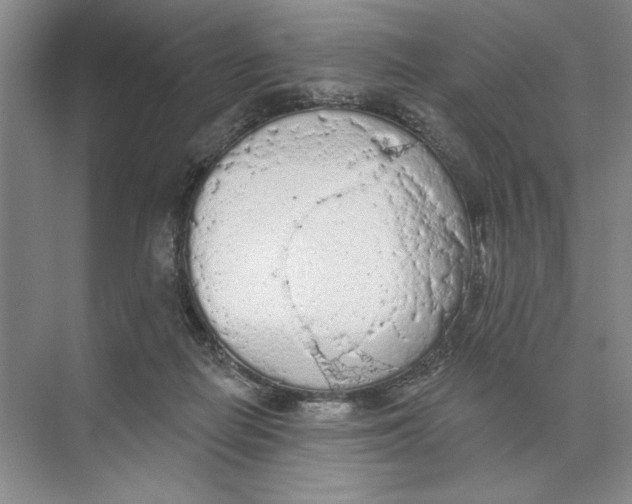 X0000074300266200609222342