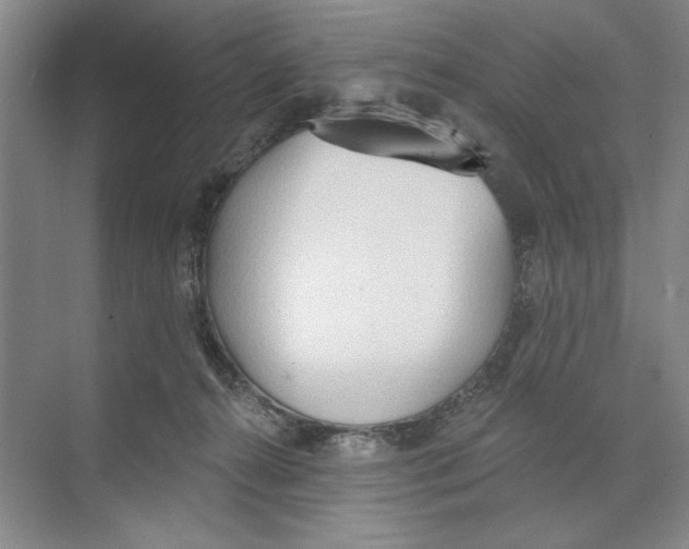 X0000074300272200609222342