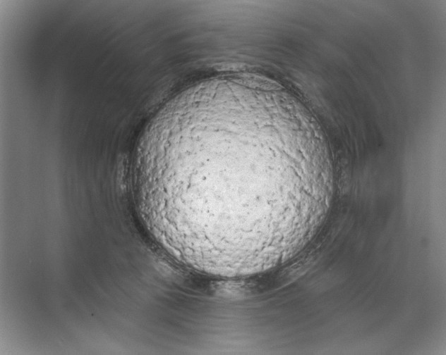 X0000074300273200609222342