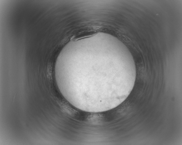 X0000074300274200609222342