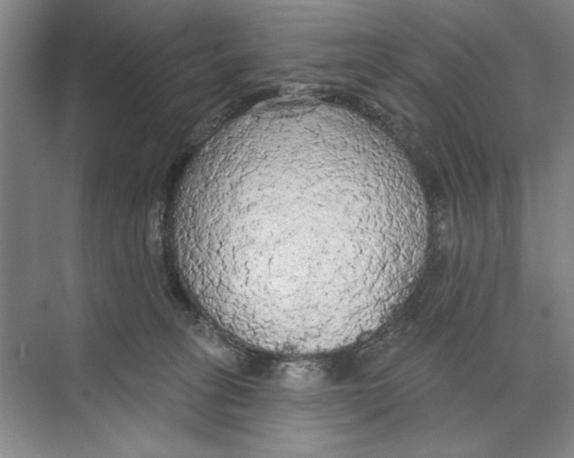 X0000074300275200609222342