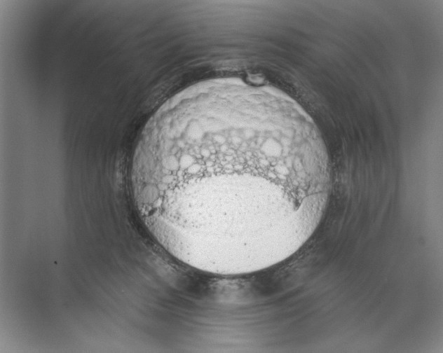 X0000074300277200609222343