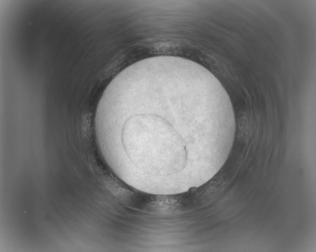 X0000074300278200609222343