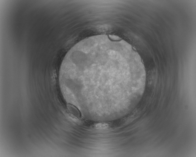 X0000074300279200609222343