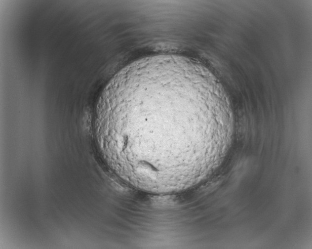 X0000074300281200609222343