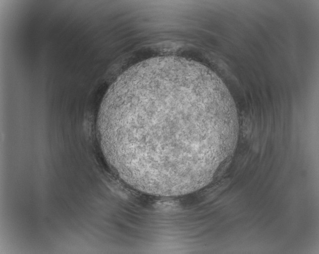 X0000074300283200609222343