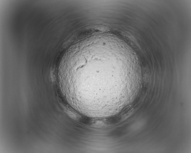 X0000074300285200609222343