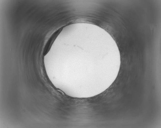 X0000074300289200609222342