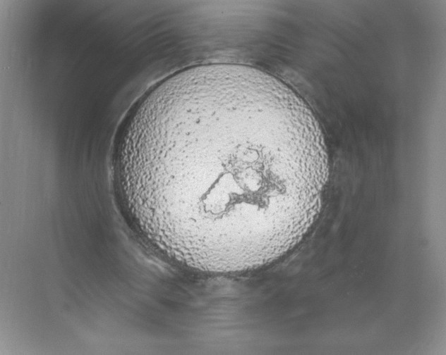 X0000074300290200609222342