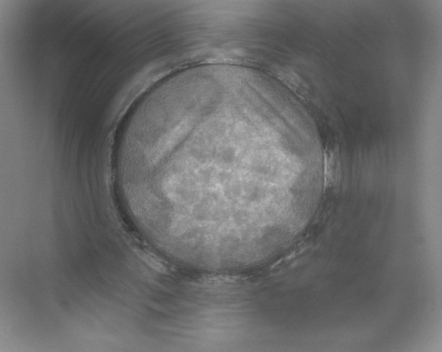 X0000074300291200609222342