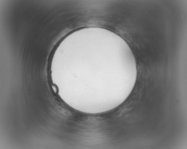 X0000074300292200609222342