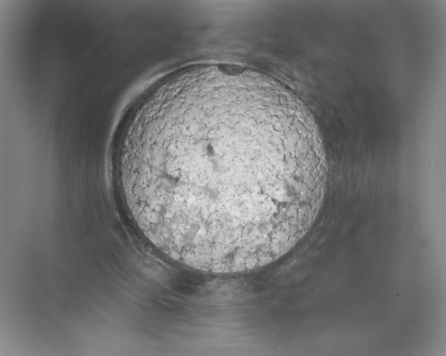 X0000074300294200609222342