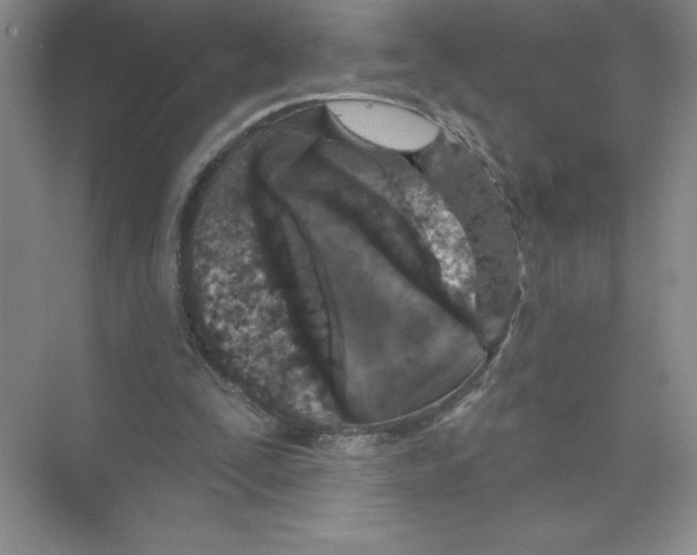 X0000074300295200609222342