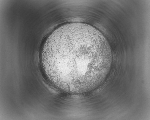 X0000074300302200609222342