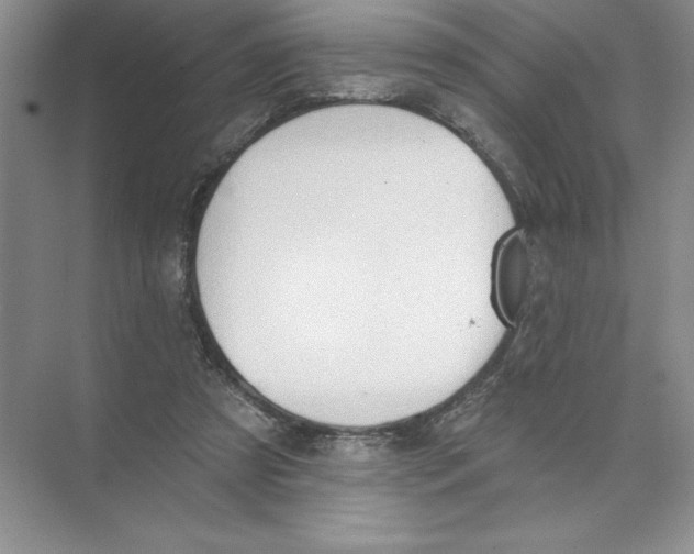 X0000074300305200609222342