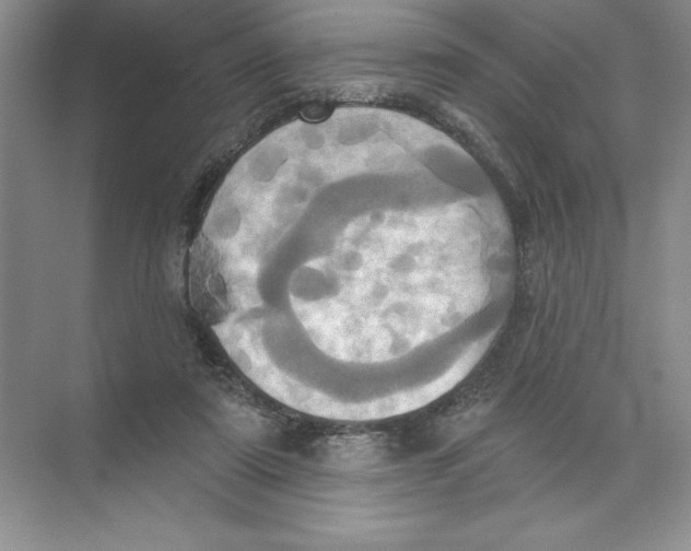 X0000074300307200609222342