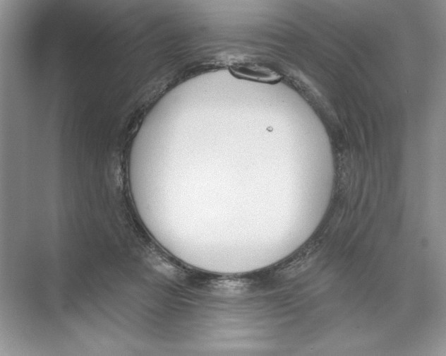 X0000074300313200609222342