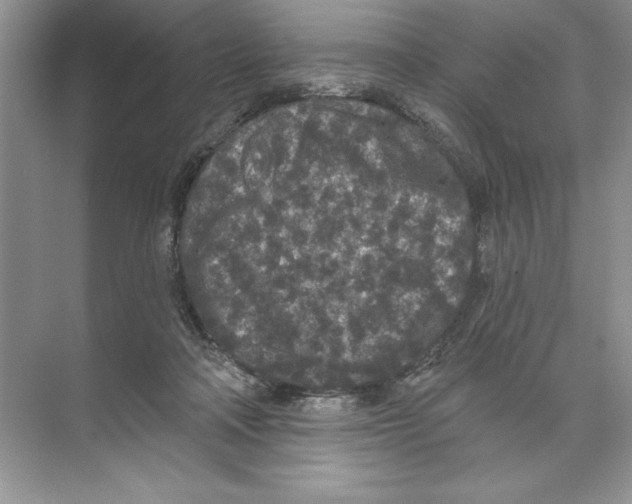 X0000074300314200609222341