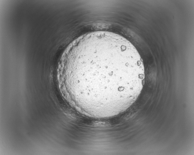 X0000074300315200609222341