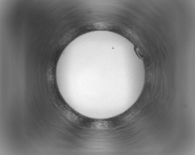 X0000074300317200609222341