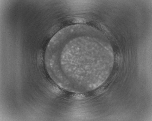 X0000074300322200609222341