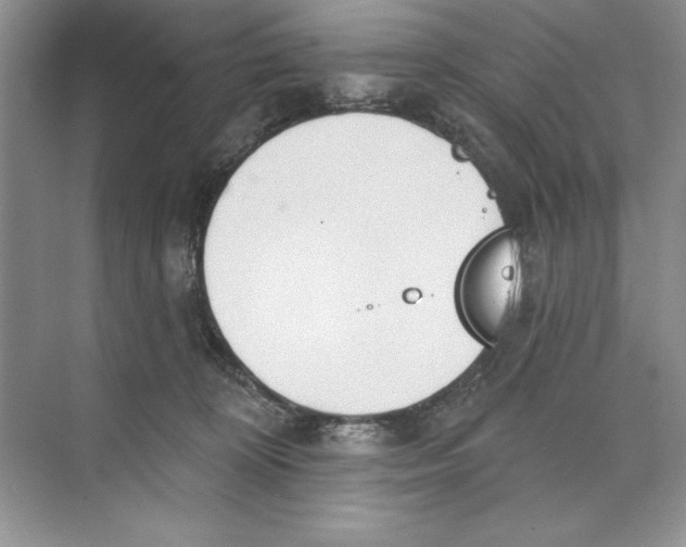 X0000074300324200609222341