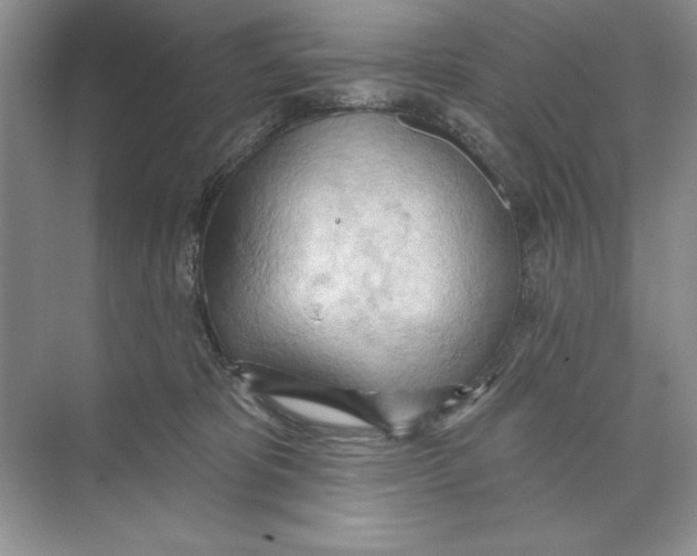 X0000074300325200609222341