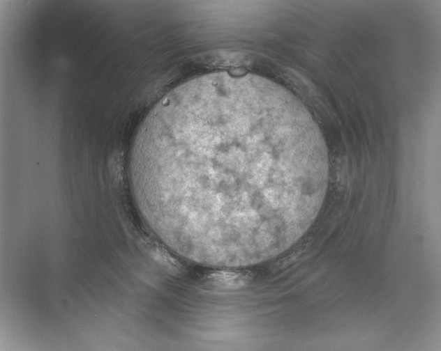 X0000074300326200609222341