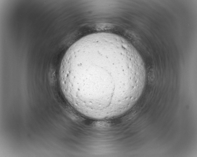 X0000074300327200609222341