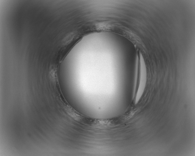 X0000074300329200609222341