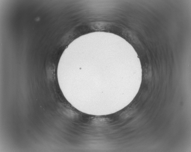 X0000074300332200609222341