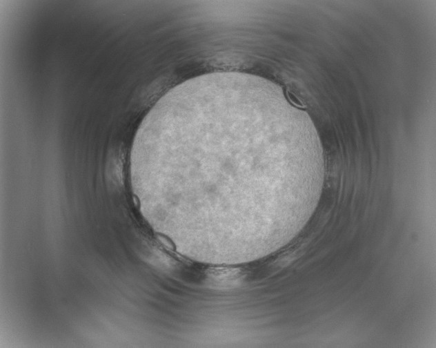 X0000074300334200609222341