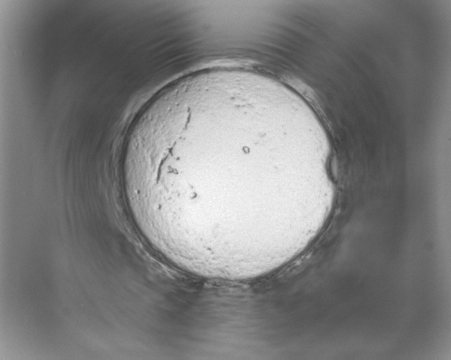 X0000074300337200609222340