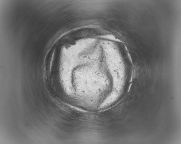 X0000074300339200609222340