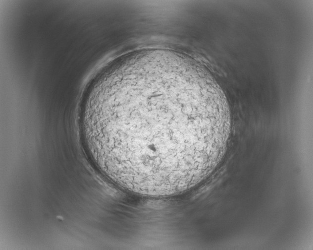 X0000074300341200609222340