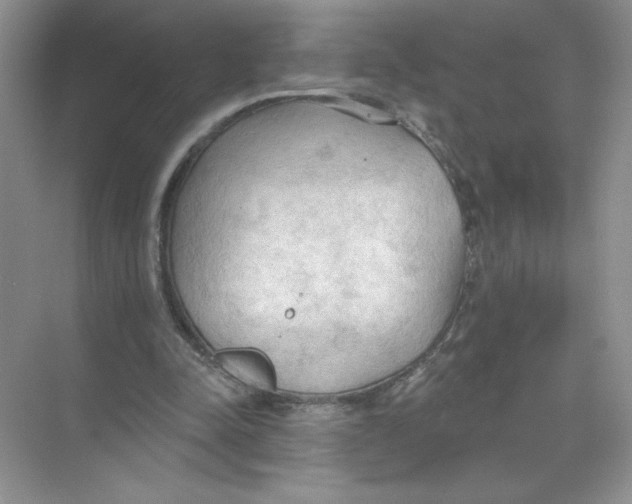 X0000074300342200609222340