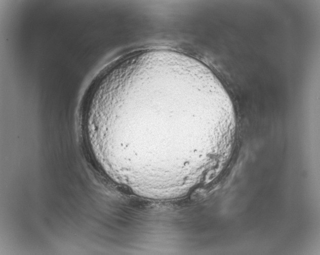 X0000074300343200609222340