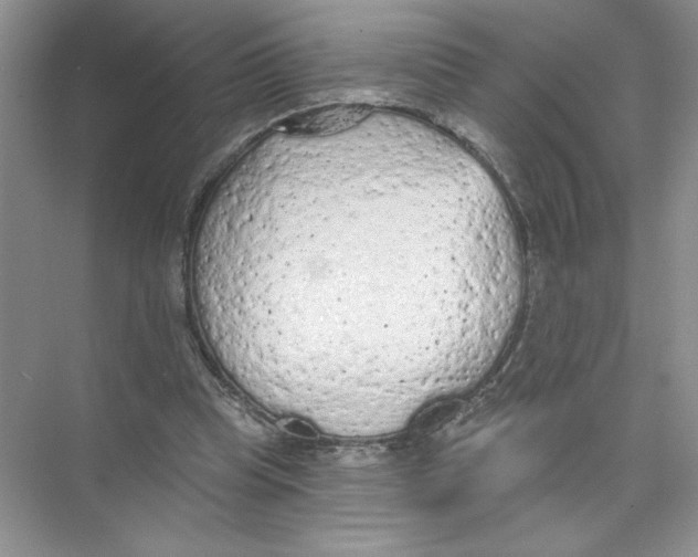 X0000074300345200609222340