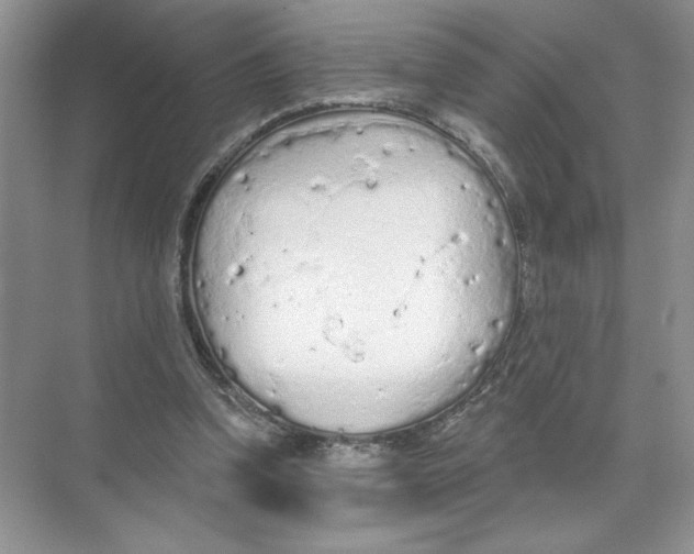 X0000074300346200609222340